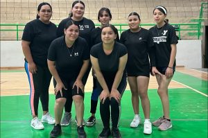 LIGA MUNICIPAL DE VOLEIBOL