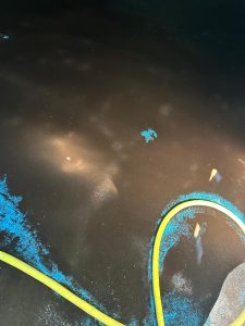 LIMPIEZA DE DEPÓSITOS DE AGUA POTABLE